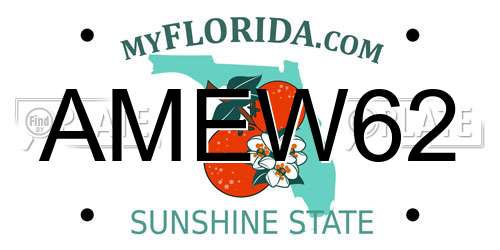AMEW62 Florida License Plate