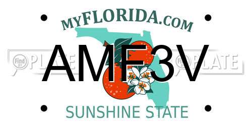 AMF3V Florida License Plate