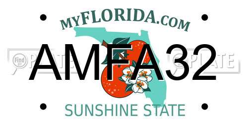 AMFA32 Florida License Plate