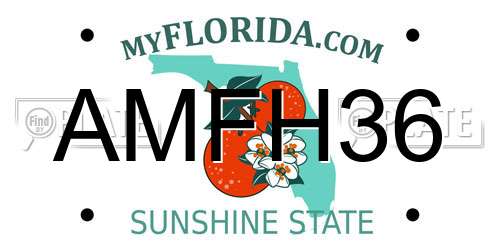 AMFH36 Florida License Plate