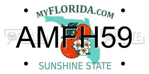 AMFH59 Florida License Plate