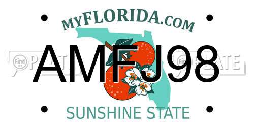 AMFJ98 Florida License Plate