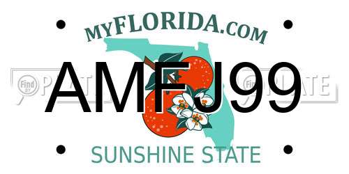 AMFJ99 Florida License Plate