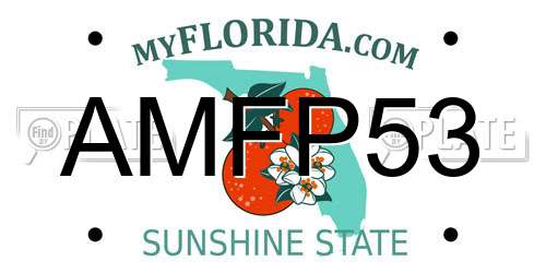 AMFP53 Florida License Plate