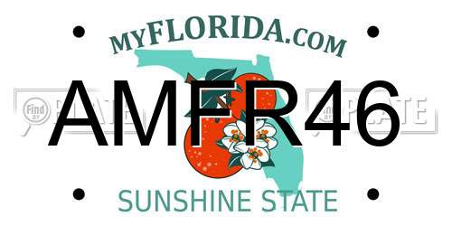 AMFR46 Florida License Plate
