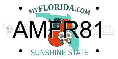 AMFR81 Florida License Plate