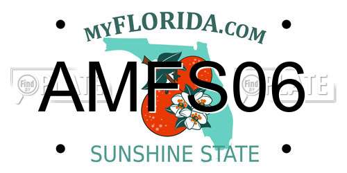 AMFS06 Florida License Plate