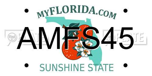 AMFS45 Florida License Plate