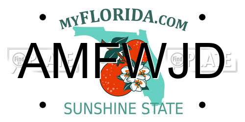 AMFWJD Florida License Plate