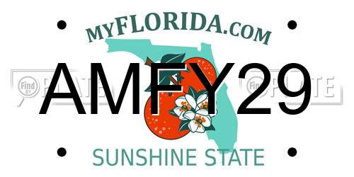 AMFY29 Florida License Plate