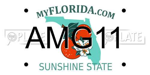 AMG11 Florida License Plate
