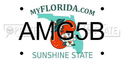 AMG5B Florida License Plate
