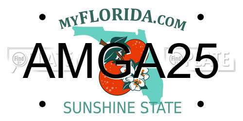 AMGA25 Florida License Plate