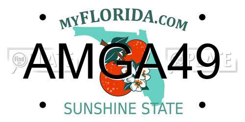 AMGA49 Florida License Plate
