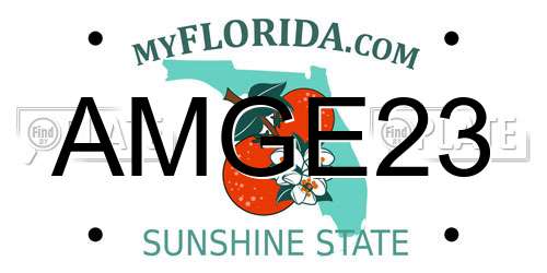 AMGE23 Florida License Plate