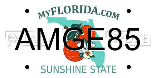 AMGE85 Florida License Plate