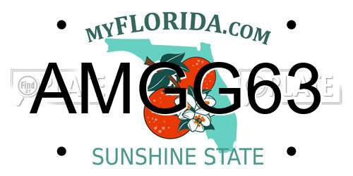 AMGG63 Florida License Plate