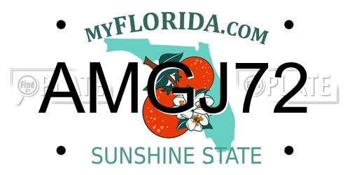 AMGJ72 Florida License Plate