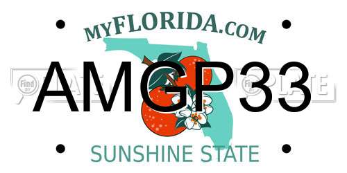 AMGP33 Florida License Plate