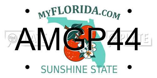 AMGP44 Florida License Plate