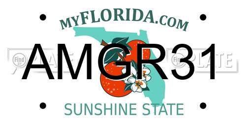 AMGR31 Florida License Plate