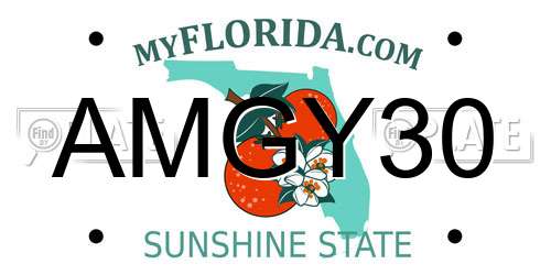 AMGY30 Florida License Plate