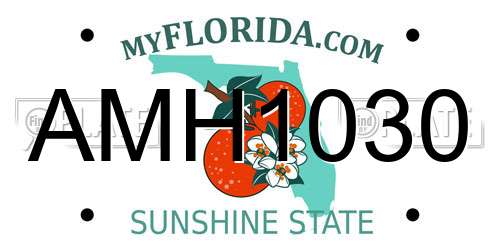 AMH1030 Florida License Plate