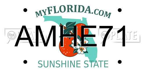 AMHE71 Florida License Plate