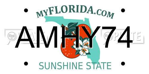 AMHY74 Florida License Plate
