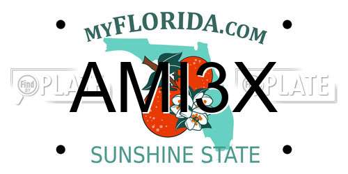 AMI3X Florida License Plate
