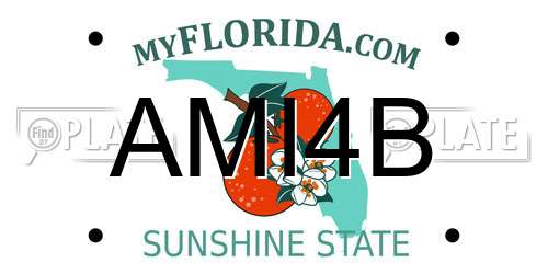AMI4B Florida License Plate