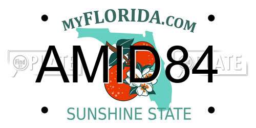 AMID84 Florida License Plate