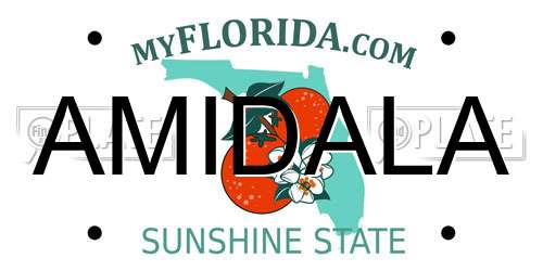 AMIDALA Florida License Plate