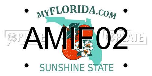 AMIF02 Florida License Plate