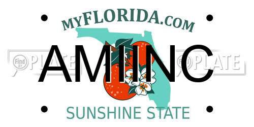 AMIINC Florida License Plate