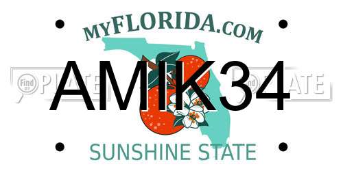 AMIK34 Florida License Plate
