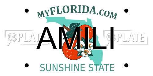 AMILI Florida License Plate