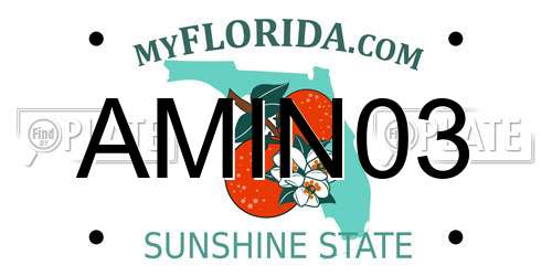 AMIN03 Florida License Plate