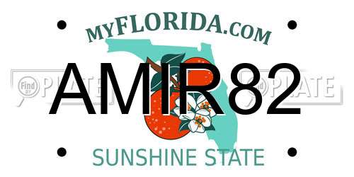 AMIR82 Florida License Plate