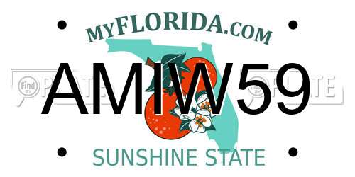 AMIW59 Florida License Plate