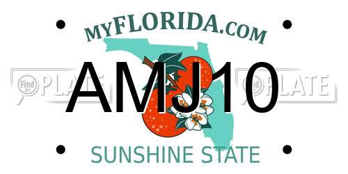 AMJ10 Florida License Plate
