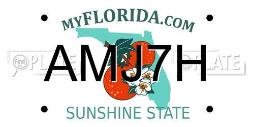 AMJ7H Florida License Plate