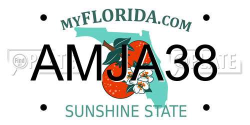 AMJA38 Florida License Plate