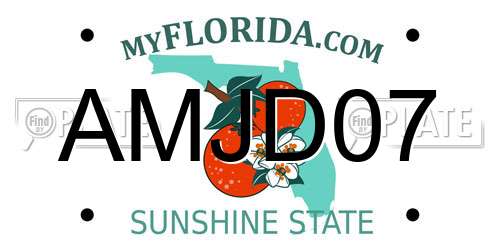 AMJD07 Florida License Plate