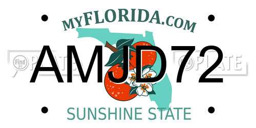 AMJD72 Florida License Plate