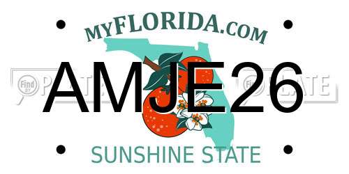 AMJE26 Florida License Plate