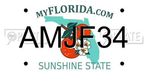 AMJF34 Florida License Plate