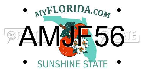 AMJF56 Florida License Plate