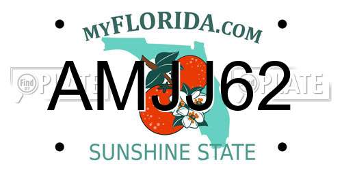 AMJJ62 Florida License Plate