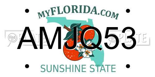 AMJQ53 Florida License Plate